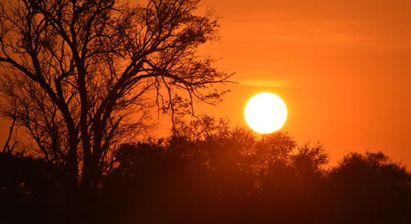 Cobre Botswana